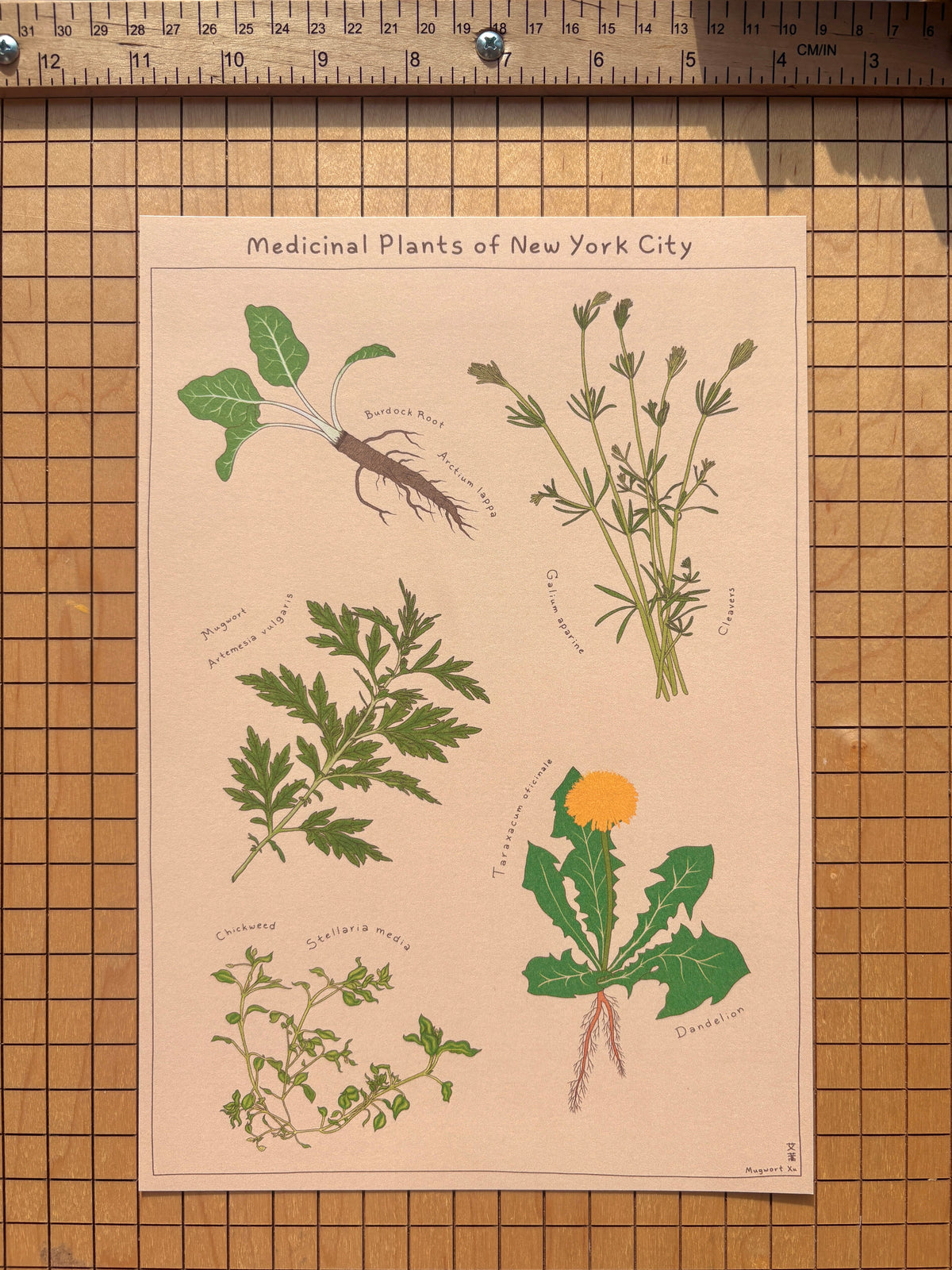 Prints