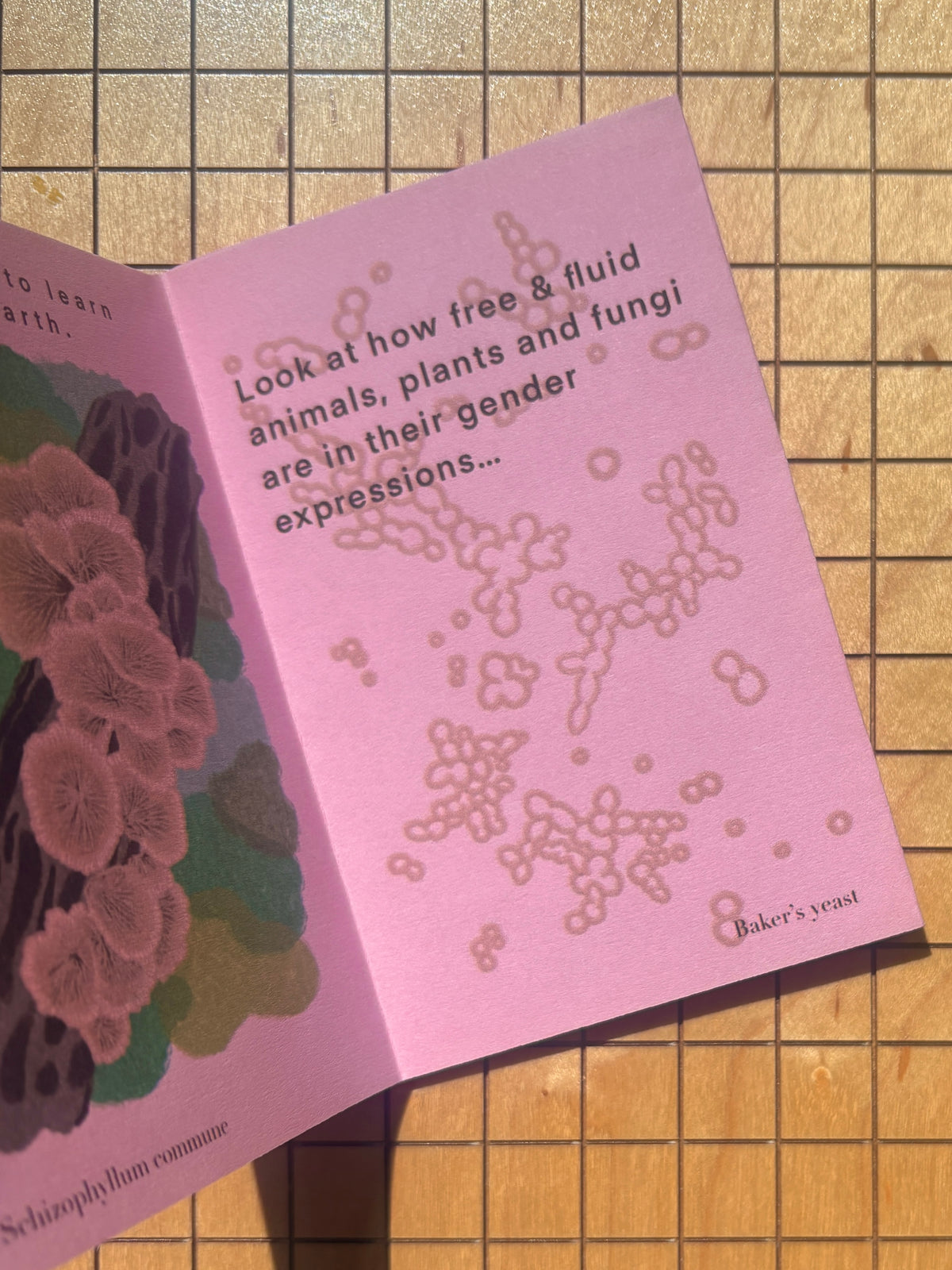 MOTHER NATURE IS QUEER Zine (Pink)