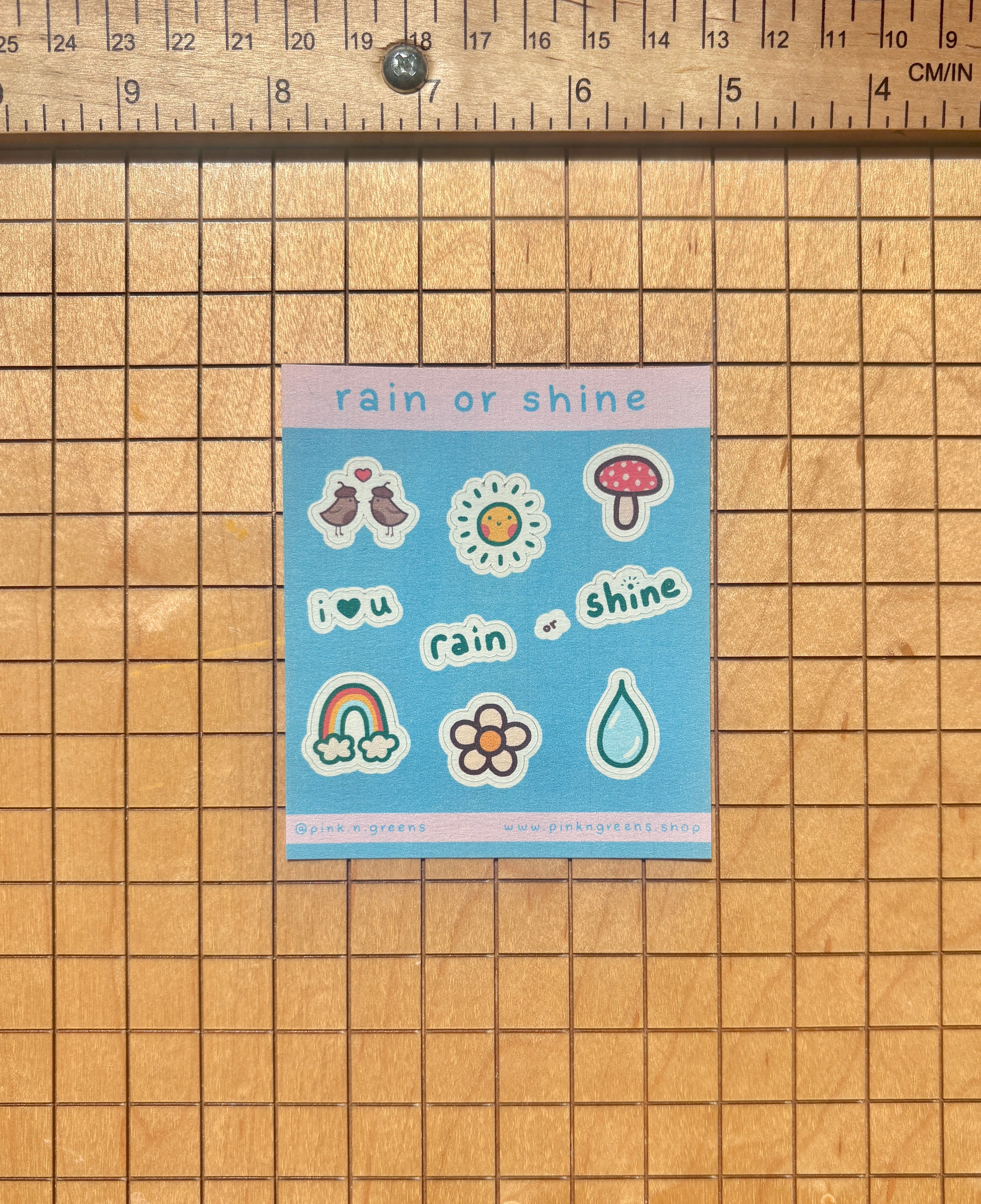RAIN OR SHINE Small Sticker Sheet