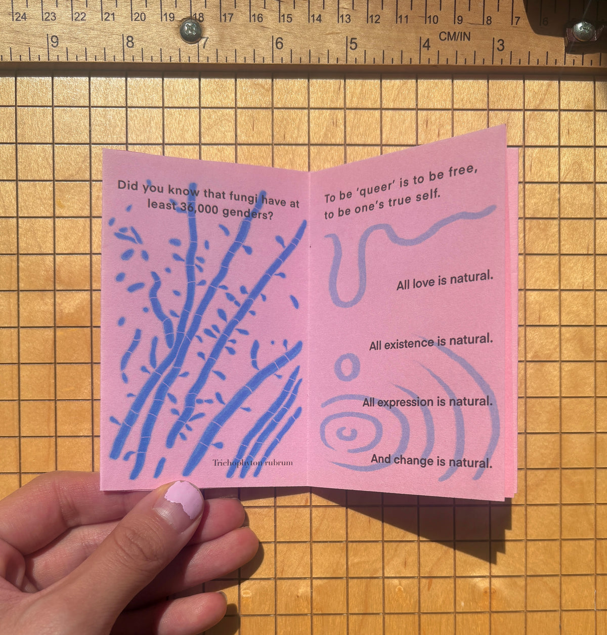 MOTHER NATURE IS QUEER Zine (Pink)