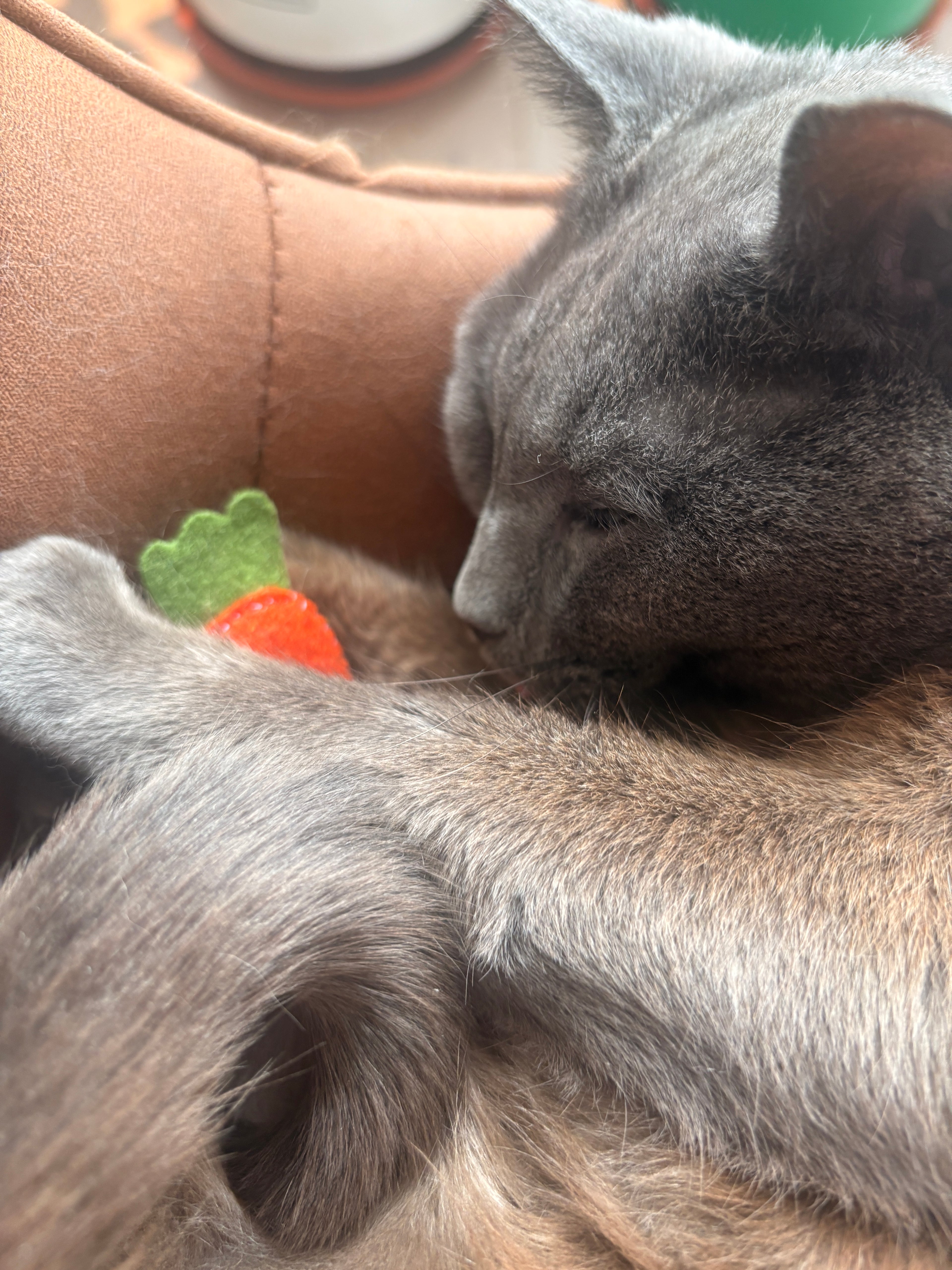 Vegetable Cat Toys
